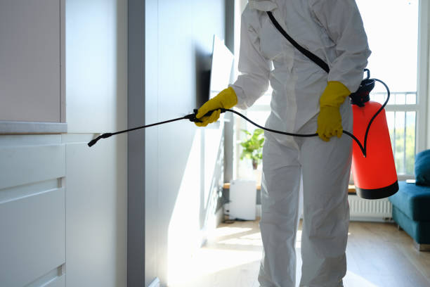 Mold Testing and Removal in Collins, MS