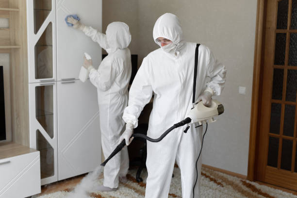 Best Commercial Mold Removal  in Collins, MS