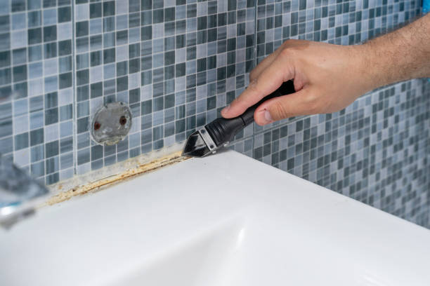 Best Mold Removal and Inspection  in Collins, MS