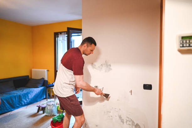 Best Certified Mold Removal  in Collins, MS